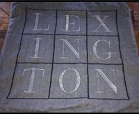 Lexington Kissenhülle 50x50 Herringbone TOP Baden-Württemberg - Brackenheim Vorschau