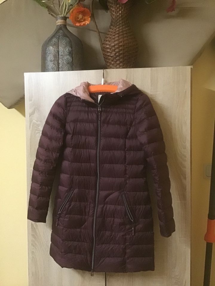 Daunen Jacke Mantel Kapuze leicht Esprit xs s 34/36 in Berg Oberfr.