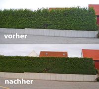 Gartenservice Gartenarbeit Hecke schneiden Rasen mähen Rheinland-Pfalz - Neuwied Vorschau
