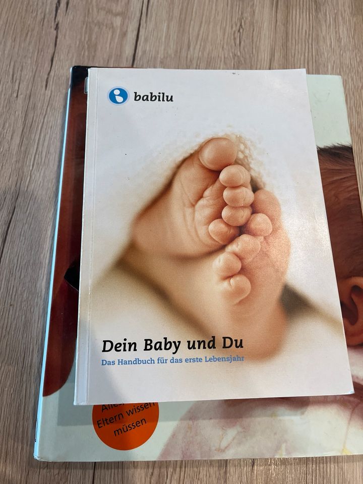 3 Baby Bücher Entwicklung „Das große Dorling Kindersley Babybuch“ in Gengenbach