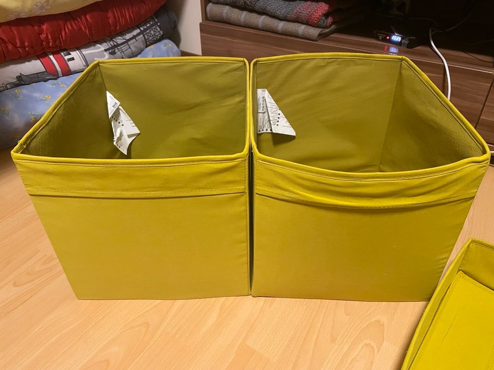 Dröna Kallax Box lime grün Ikea in Wiesbaden