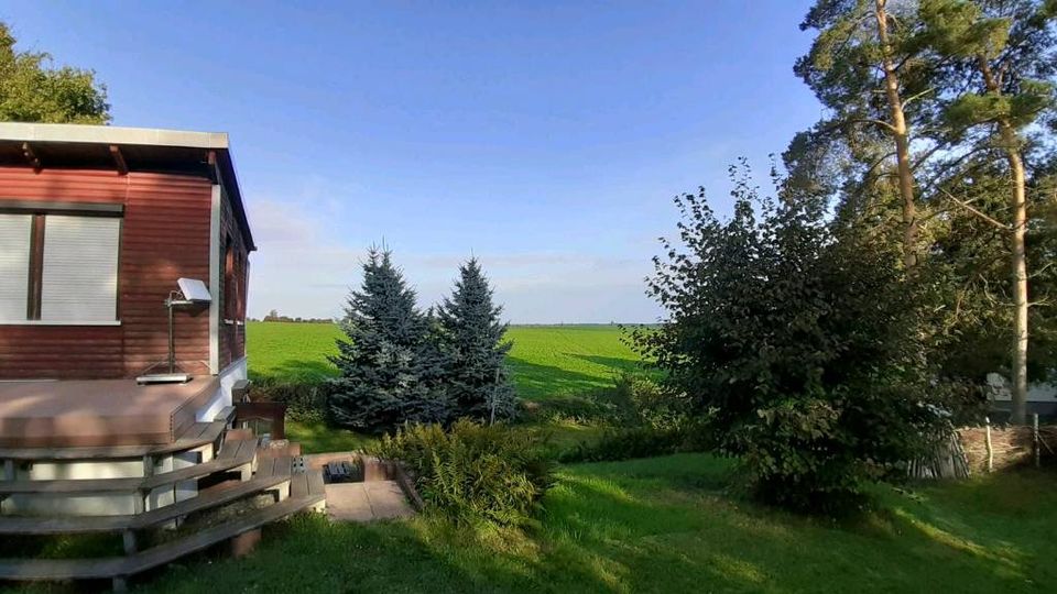 Wochenendgrundstück mit Bungalow in Hermannseck bei Querfurt in Ziegelroda