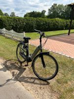 E Bike Gazelle Arroyo C8 Elite Bosch wenig Km Rh:57 Nordrhein-Westfalen - Ibbenbüren Vorschau