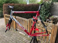 Pinarello Galileo Rahmenset Rennrad Onda Alu Carbon Rot Silber 60 Bremen - Seehausen  Vorschau