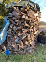 Brennholz zu verkaufen Schleswig-Holstein - Prinzenmoor Vorschau