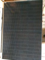 14x Jinko 420Wp Solarmodule Full Black abzugeben Niedersachsen - Dissen am Teutoburger Wald Vorschau
