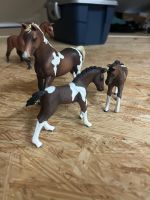 Schleich Spielzeug Pferde Hessen - Körle Vorschau