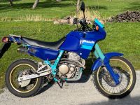 Honda NX 650 Dominator RD02 Baden-Württemberg - Langenburg Vorschau