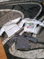 Baby Kleidung T-Shirt langarm 3 Stück Größe 56 Niedersachsen - Osnabrück Vorschau