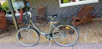 Pegasus Damenfahrrad 28 Zoll Nordrhein-Westfalen - Bedburg Vorschau