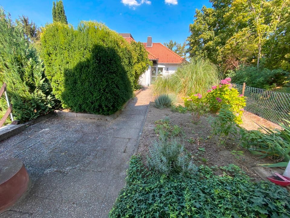 Einfamilienhaus, ehem. Weingut mit viel Nutzfläche und Garten in Oppenheim