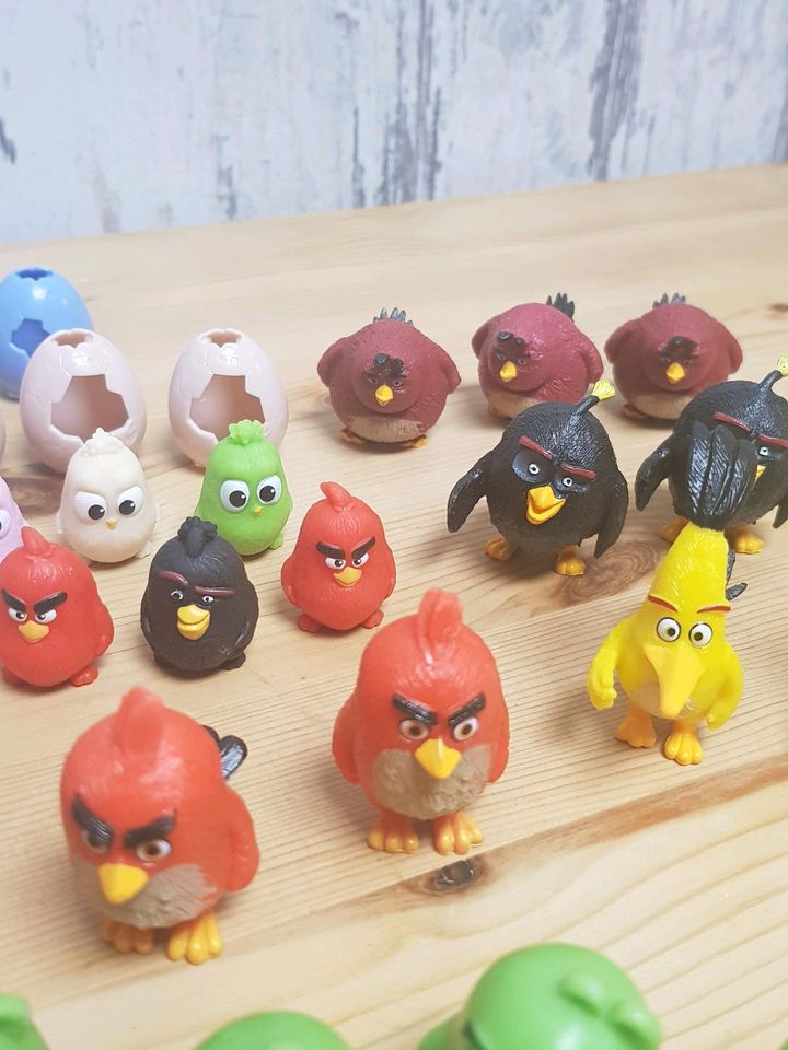 Angry Birds mit Eierschalen Sammlung in Bonn