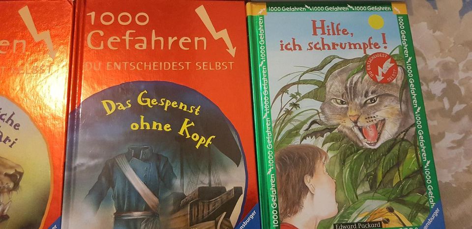 15 Bücher Kinderbücher Olchi, Pelle, Die drei ???, 1000 Gefahren in Rosengarten