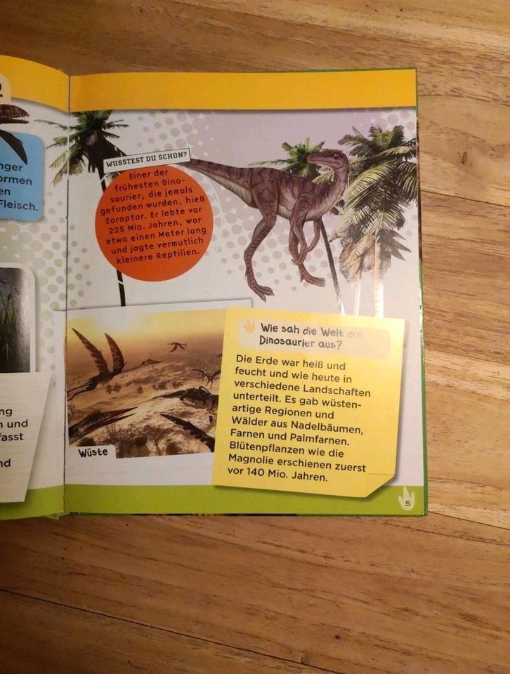 Buch Warum hatten Dinosaurier Schuppen in Aschau am Inn