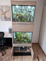 Terrarium Unikat Baden-Württemberg - Gomadingen Vorschau