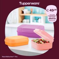 Tupperware * Naschkätzchen Trio * Neu * 1,1 1,4 2 L Bellevue * ab Niedersachsen - Pattensen Vorschau