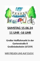Flohmarkt Haushaltsauflösung Hofflohmarkt 15.06.24 Rheinland-Pfalz - Worms Vorschau