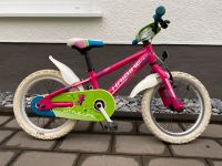 Haibike 16 Zoll Mädchen Fahrrad pink Nordrhein-Westfalen - Freudenberg Vorschau