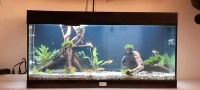 Aquarium Komplett-Set mit viel Zubehör! Leipzig - Großzschocher Vorschau