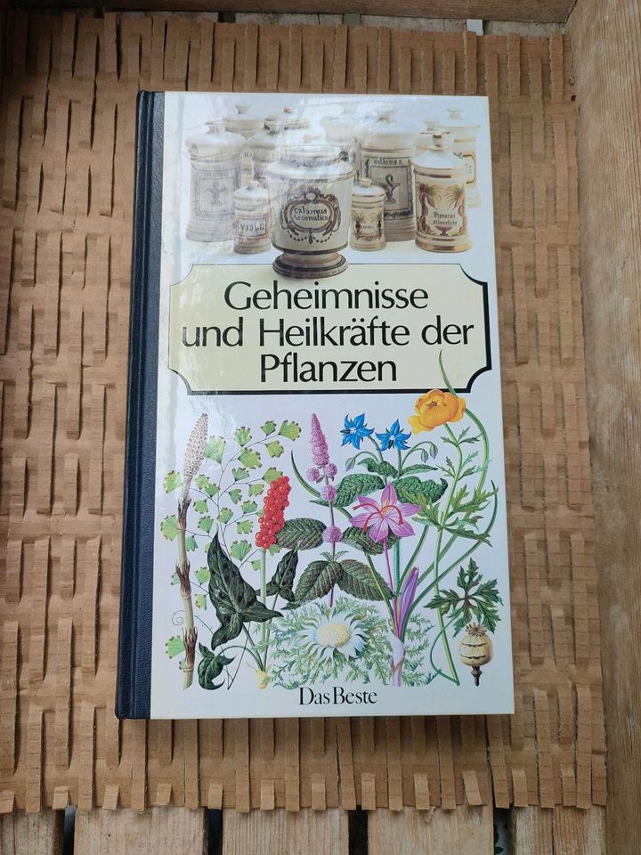 Bücherverleih 2 - KEINE Belletristik in Stamsried