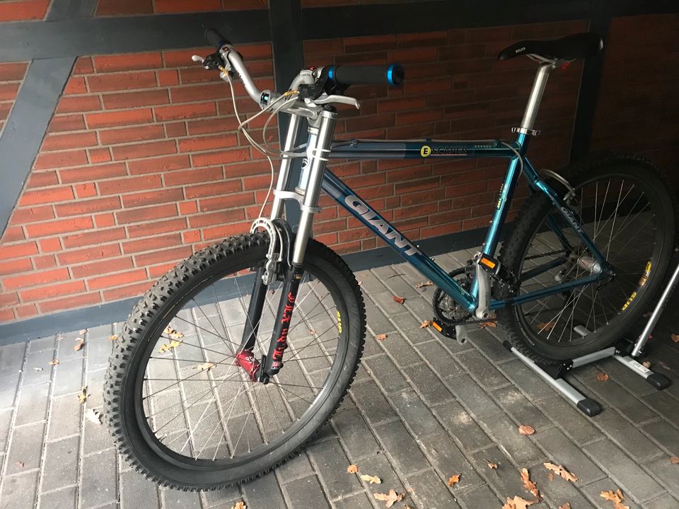 Giant Mountainbike 26 Zoll bis Sonntag 250 € in Wernsdorf