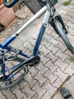 Fahrrad 28 Zoll mit Shimano Gangschaltung Hessen - Biebesheim Vorschau