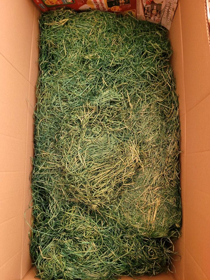 Ostergras 400 gr.natürlch eingefärbt holzwolle in Didderse