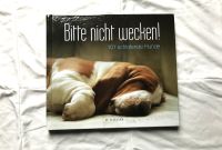 Bitte nicht wecken – 101 schlafende Hunde Schleswig-Holstein - Lütjensee Vorschau