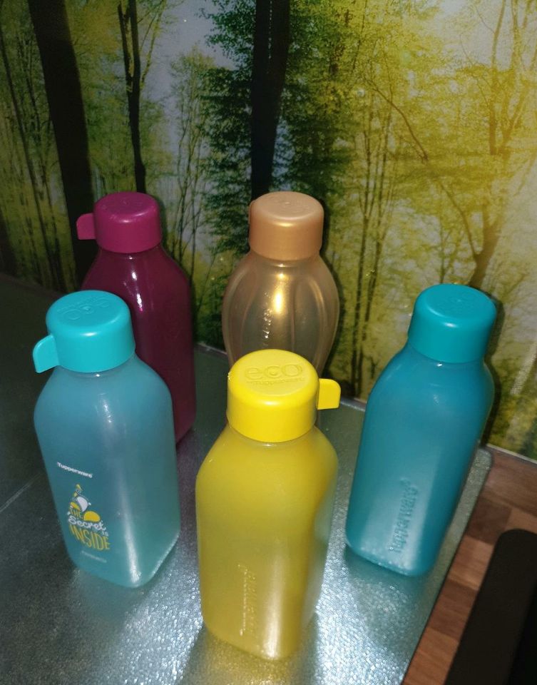 Tupperware Trinkflasche 500 ml -> reduziert in Riedstadt