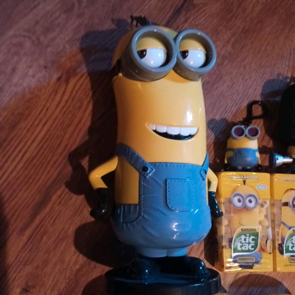 Minion tic tac Konvolut in Gelsenkirchen