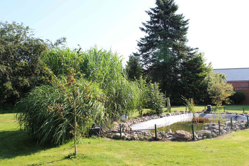 Ferienwohnung in Schalkholz zwischen Nordsee, Ostsee und Kanal in Schalkholz