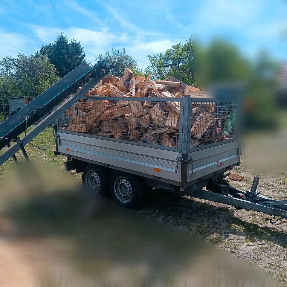 Brennholz Kaminholz Scheitholz Feuerholz in Guben