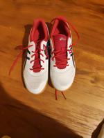 Asics Hallenschuhe Gr. 45 Kr. München - Furth Vorschau