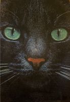 Fertiges Diamond Painting Bild Katze Eimsbüttel - Hamburg Schnelsen Vorschau