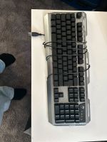 Gaming Tastatur (teilweise kaputt) Rheinland-Pfalz - Neuwied Vorschau