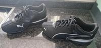 Herren Puma Sneaker Turschuhe Bayern - Pförring Vorschau