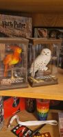 Harry Potter Noble Collection Fawkes Phoenix und Hedwig Niedersachsen - Hohenhameln Vorschau