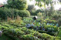 Schrebergarten, Freizeitgrundstück oder Gemüsegarten gesucht Bayern - Memmingen Vorschau