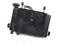 Honda CBR125 JC34 04-06 Kühler Wasserkühler Radiator Lüftermotor Niedersachsen - Lohne (Oldenburg) Vorschau