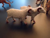Schafe Spielzeug Nordrhein-Westfalen - Herzogenrath Vorschau