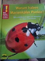 Was Kinder wissen wollen / Warum haben Marienkäfer Punkte Baden-Württemberg - Murrhardt Vorschau