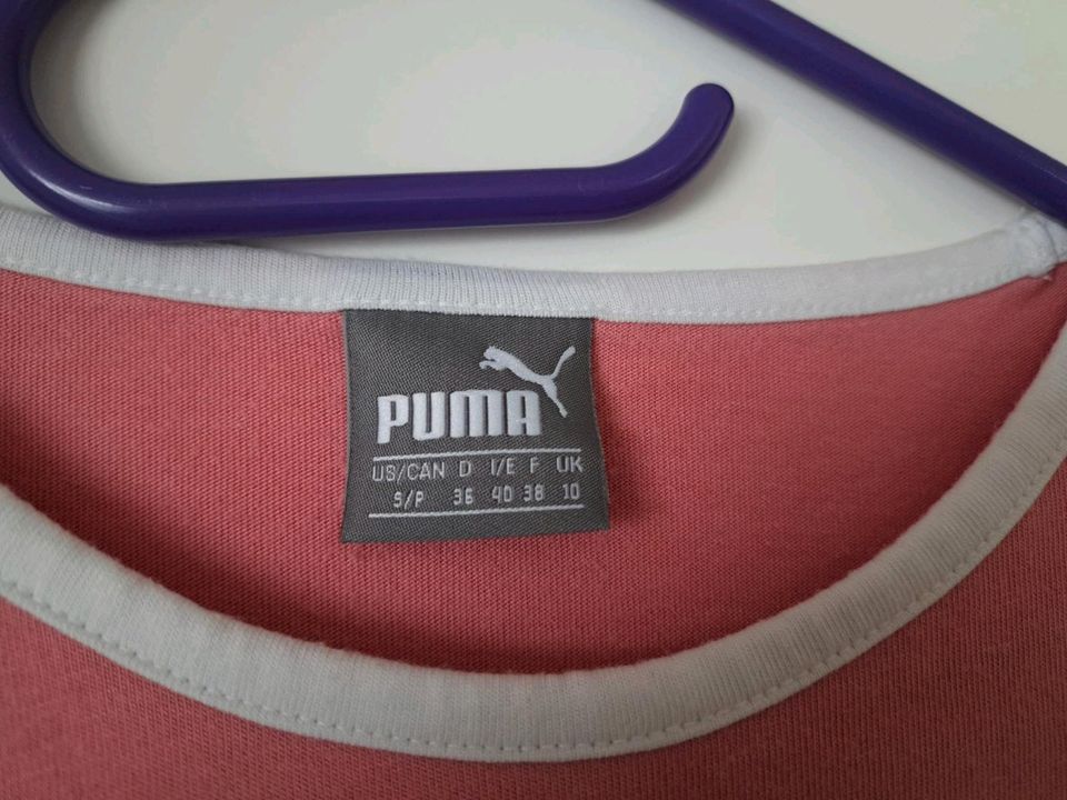 Cooles T-Shirt Puma Größe 36 in Wölpinghausen
