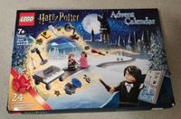 LEGO Harry Potter Adventskalender 2020 (75981) Neu Sachsen - Radeberg Vorschau