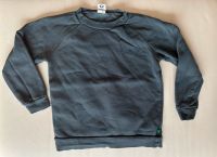 Fred's World Sweatshirt Pullover Gr. 110 Sachsen - Claußnitz Vorschau