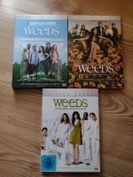 TV-Serie Weeds -  3 Staffeln Nordrhein-Westfalen - Hamm Vorschau