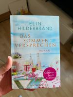 Das Sommerversprechen Roman von Armin Hildebrand Baden-Württemberg - Karlsruhe Vorschau