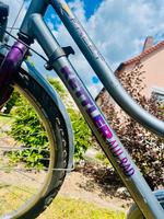 Kettler Alu Damenrad Fahrrad Cityrad 26 zoll Nürnberg (Mittelfr) - Aussenstadt-Sued Vorschau