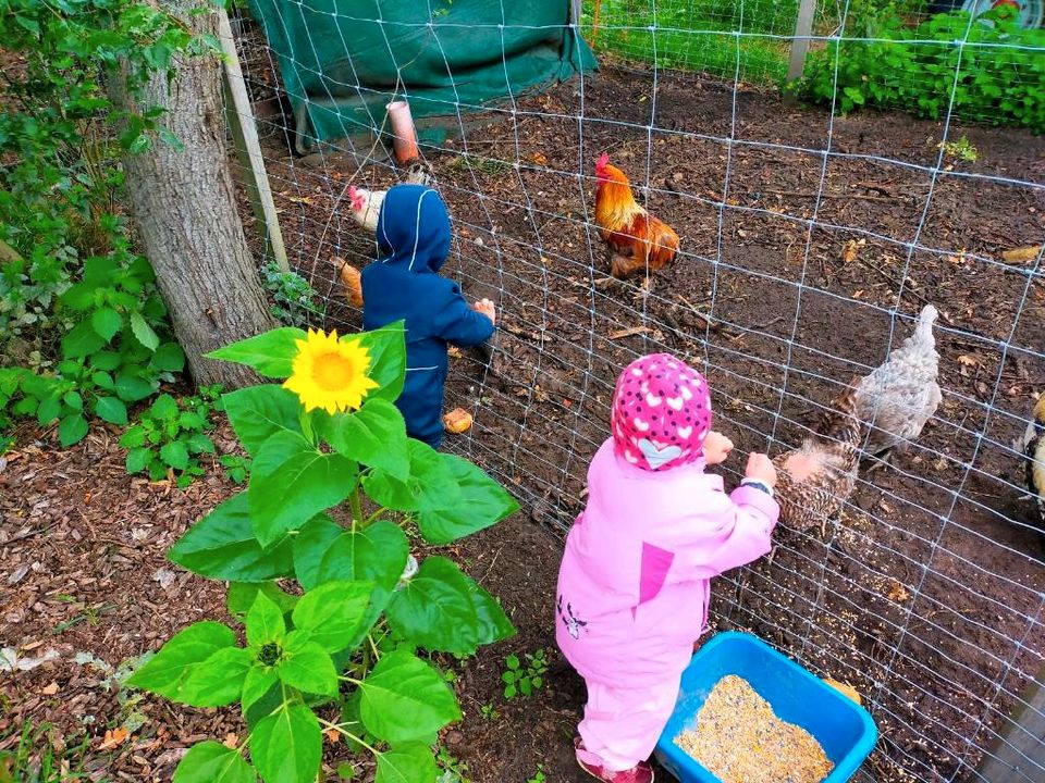 Tagesmutter,Kindertagespflege, Kinderbetreuung in Bokel