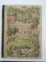 Aus Wald und Flur Tiere unserer Heimat - Bilderserien Album 1938 Bayern - Peiting Vorschau