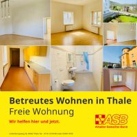 Große barrierefreie Wohnung zu vermieten. Sachsen-Anhalt - Thale Vorschau